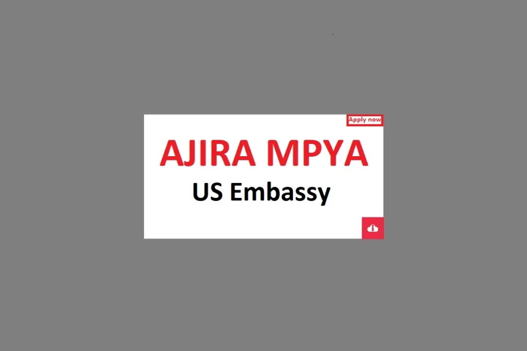 Chauffeur Job at US Embassy Tanzania June 2024