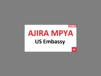 Chauffeur Job at US Embassy Tanzania June 2024