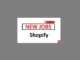 Enterprise Launch Support Jobs at Shopify June 2024