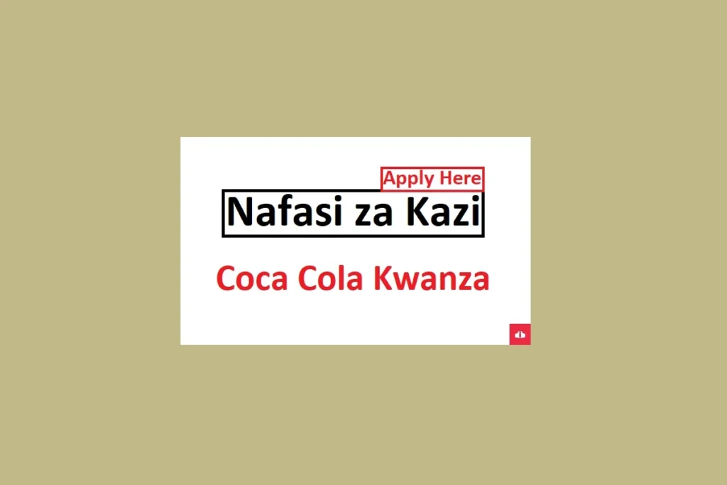 Financial Accountant Job Vacancies at Coca-Cola Kwanza 2024