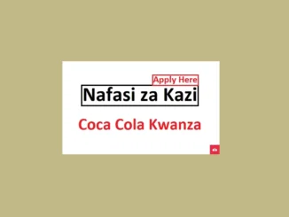 Financial Accountant Job Vacancies at Coca-Cola Kwanza 2024