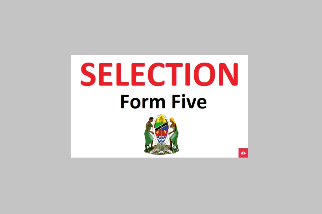 Form Five Second Selection Results 2024