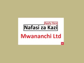 Freelance Business Executives Jobs at Mwananchi Ltd 2024