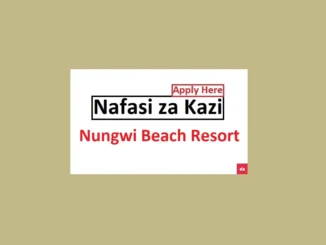 Guest Relations Team Leader Jobs at Nungwi Beach Resort 2024