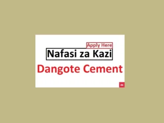 IT Officer Jobs at Dangote Cement Tanzania 2024