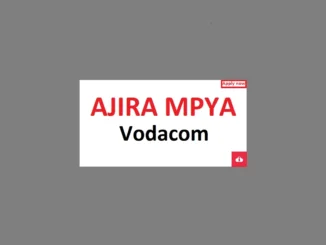 Internal Audit Manager Job Vacancies at Vodacom June 2024