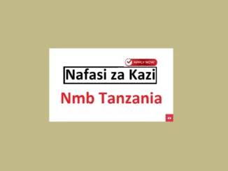 Manager Partnerships and Acceleration Jobs at NMB June 2024