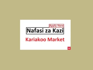 Principal Estate Officer Jobs at Kariakoo Market 2024