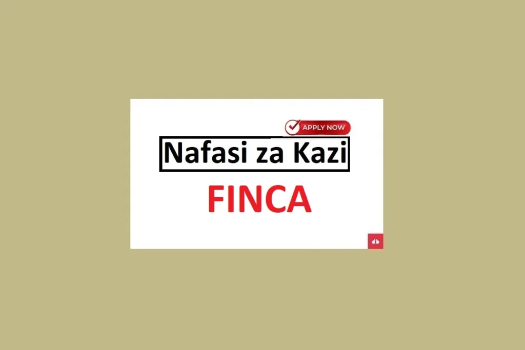 Senior Internal Auditor Jobs at FINCA June 2024 