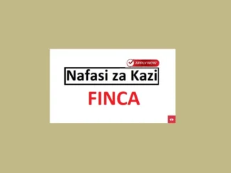 Senior Internal Auditor Jobs at FINCA June 2024 