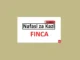 Senior Internal Auditor Jobs at FINCA June 2024 