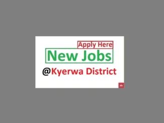 16 Job Vacancies at Kyerwa District Council