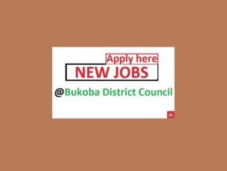 20 Village Exactive Officers Jobs at Bukoba District Council