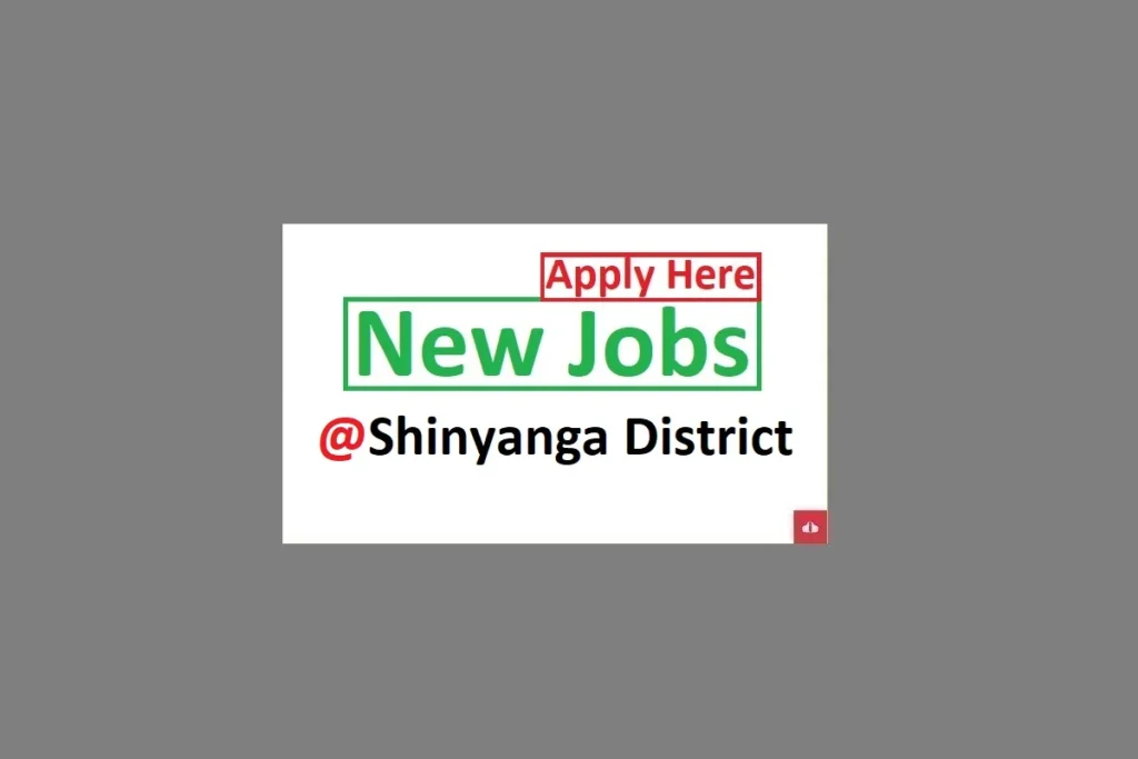 20 Village Exactive Officers Jobs at Shinyanga District