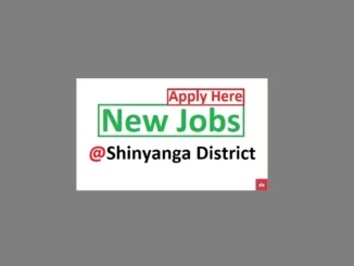 20 Village Exactive Officers Jobs at Shinyanga District