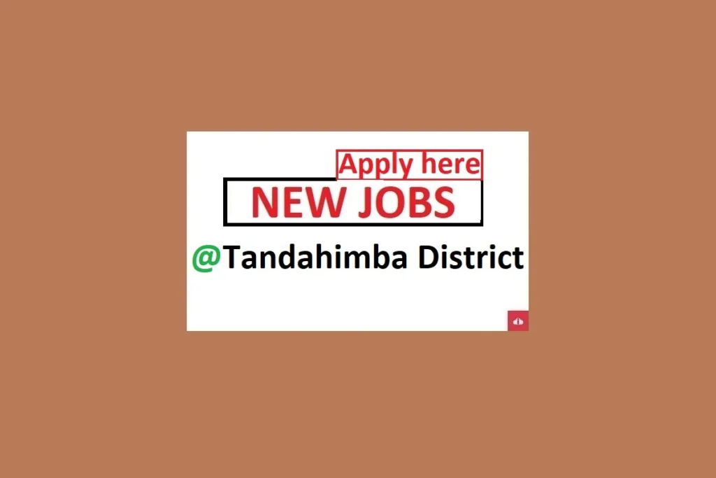 20 Village Exactive Officers Jobs at Tandahimba District 