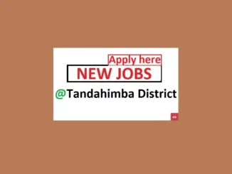 20 Village Exactive Officers Jobs at Tandahimba District