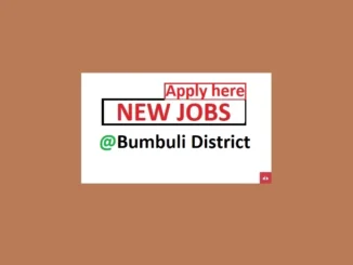 4 Driving Job Vacancies at Bumbuli District Council