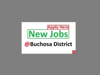 5 Driving Job Vacancies at Buchosa District Council