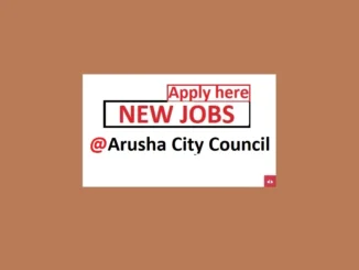 5 Record Assistant Job Vacancies at Arusha City Council