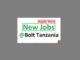 Business Sales Specialist Job Vacancies at Bolt July 2024