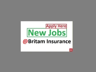 Chief Accountant Job Vacancy at Britam Insurance 2024