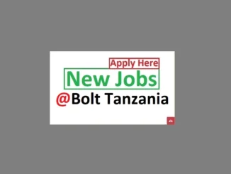 Operations Manager Job Vacancies at Bolt July 2024