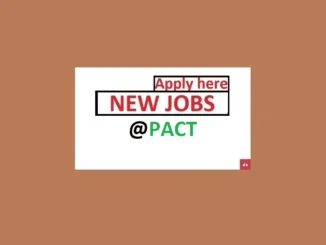 Project Director Job Vacancies at Pact 2024