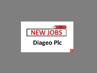 Sales Executive Job Vacancies at Diageo Plc July 2024