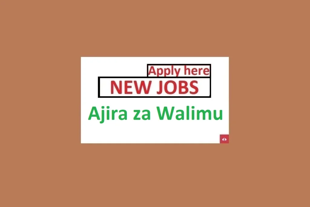 Teaching Job Vacancies in Tanzania  Ajira mpya za walimu 2024