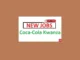 Technical Trainer Job Vacancies at Coca-Cola Kwanza July 2024