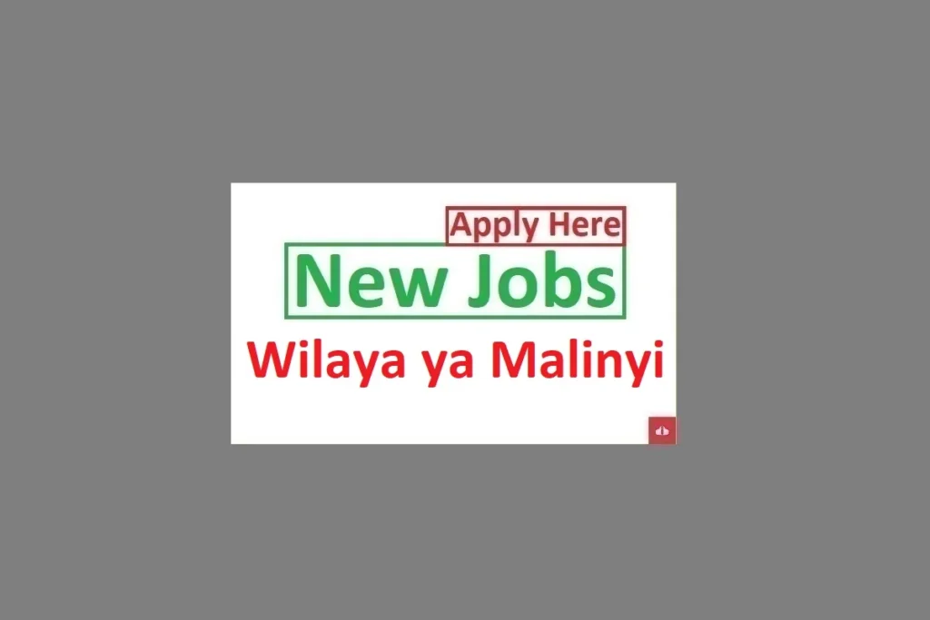 16 Job Vacancies at Malinyi District Council