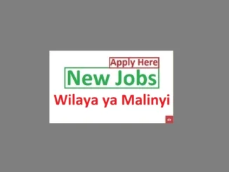 16 Job Vacancies at Malinyi District Council