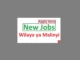 16 Job Vacancies at Malinyi District Council