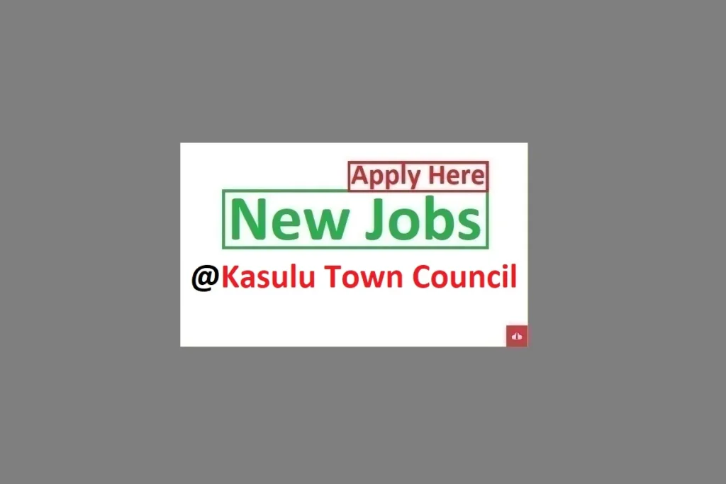 18 Job Vacancies at the Kasulu Town Council