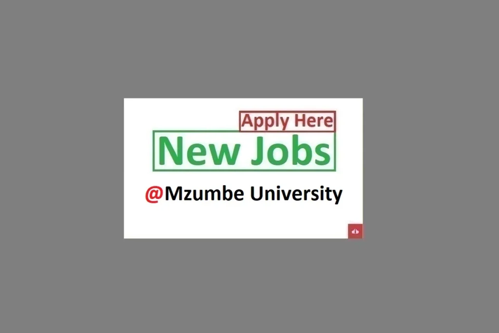 19 Teaching Job Vacancies at Mzumbe University 2024