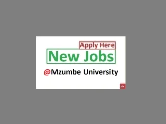 19 Teaching Job Vacancies at Mzumbe University 2024