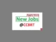 3 Volunteering Job Vacancies at CCBRT 2024