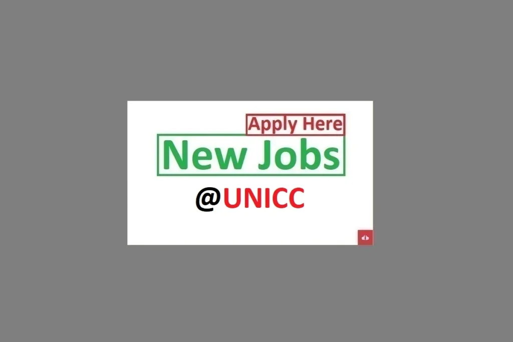 Control and Risk Associate Job Vacancies at UNICC 2024