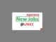 Control and Risk Associate Job Vacancies at UNICC 2024