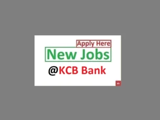 Database Administrator Job Vacancy at KCB Bank 2024