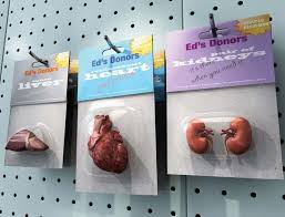 Will Lab-Made Organs End Transplant Waiting Lists?