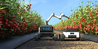 Next-Gen Farming: Robots Are Growing Our Food Now
